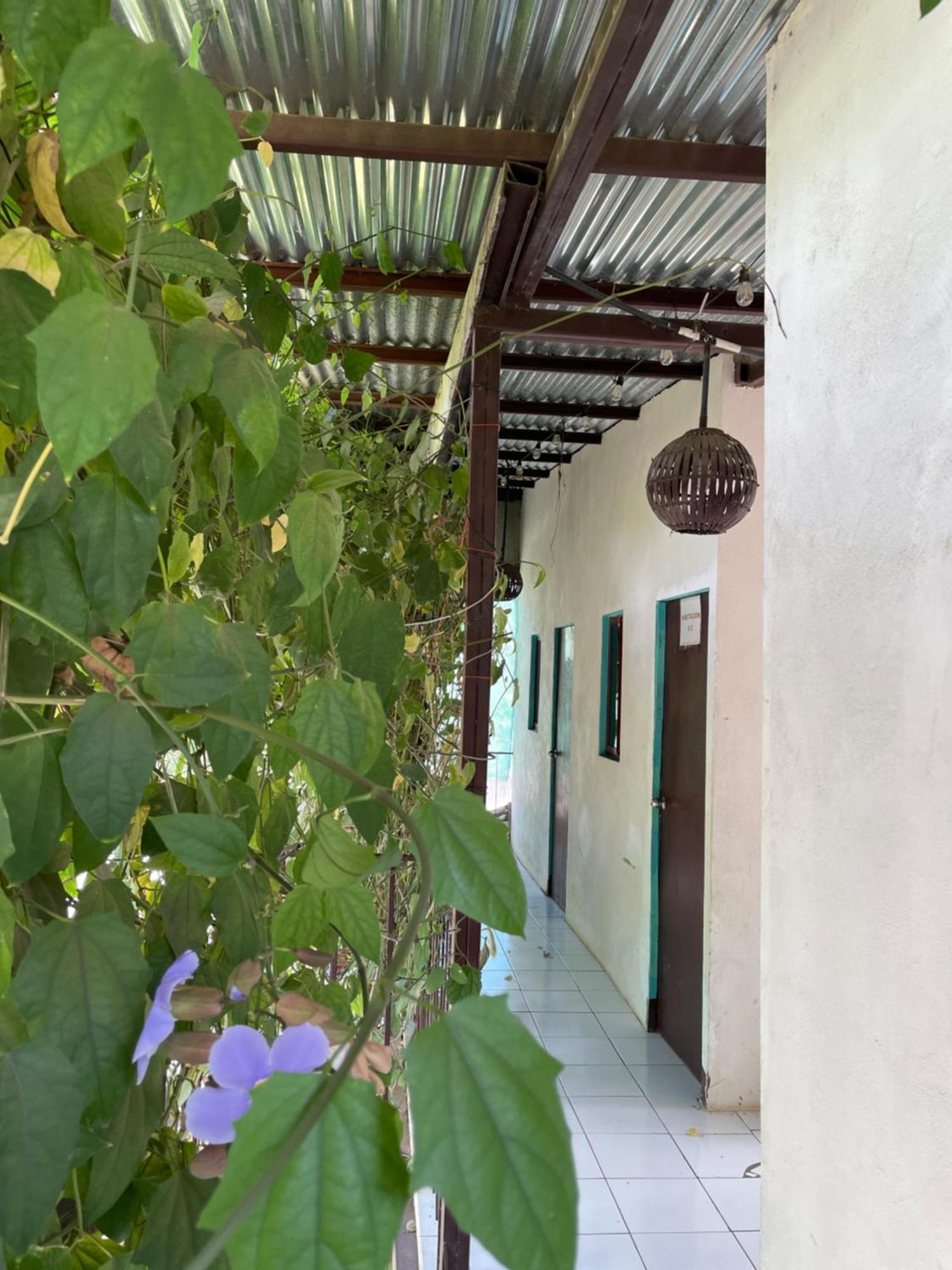 Hostal Isla Natal Moyogalpa Exteriör bild